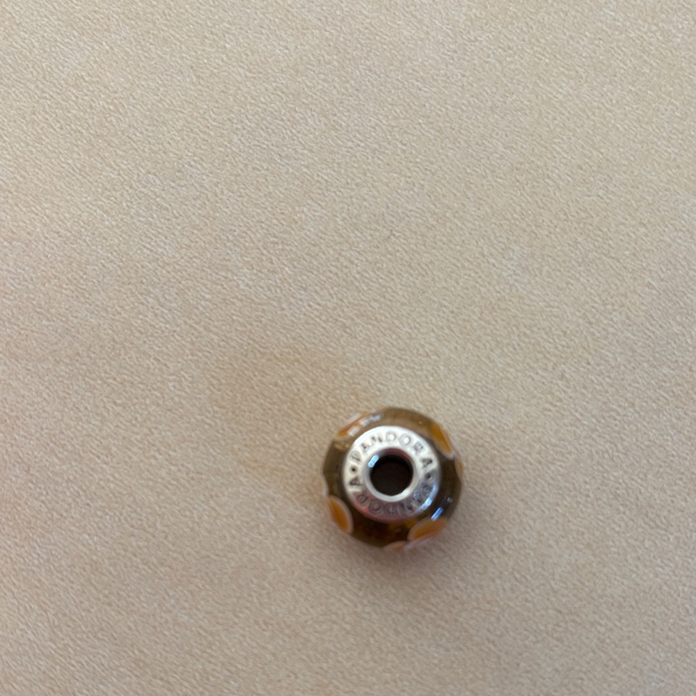 Pandora Brown and Silver Charm